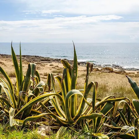 Casa Liu Torre Colimena